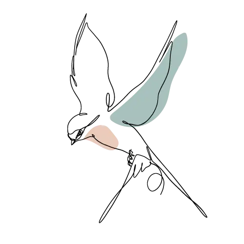 Să ajutăm rândunelele și lăstunii să cuibărească — chiar și o mică schimbare poate face o mare diferență