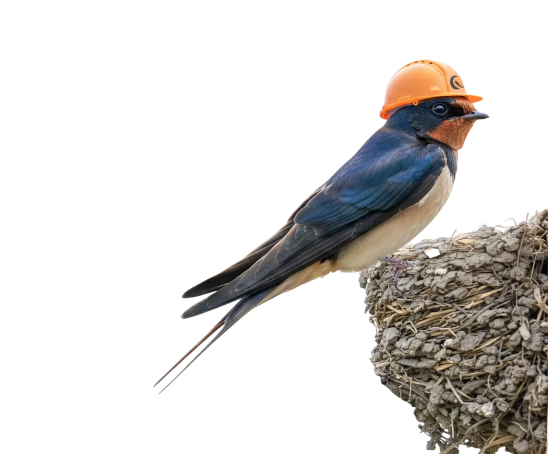 Rândunica instalator